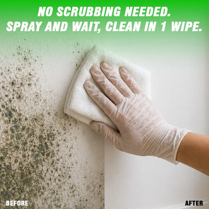 Mould & Fungus Cleaner